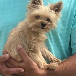 Meet your Posher, Chad